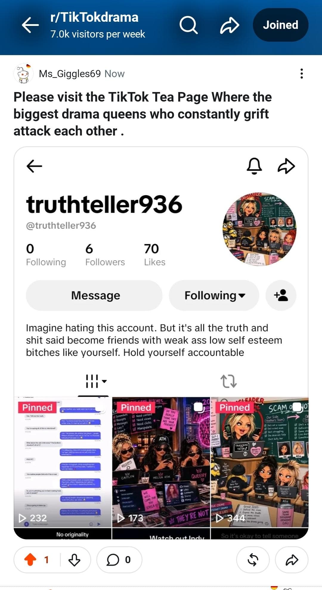 True Crime is pure drama nothing but fighting. RT.Ak, Heather Talks True Crime & KaylaJay7 just talk about other TikTok creators. True Crime is messier than Messy Tok.