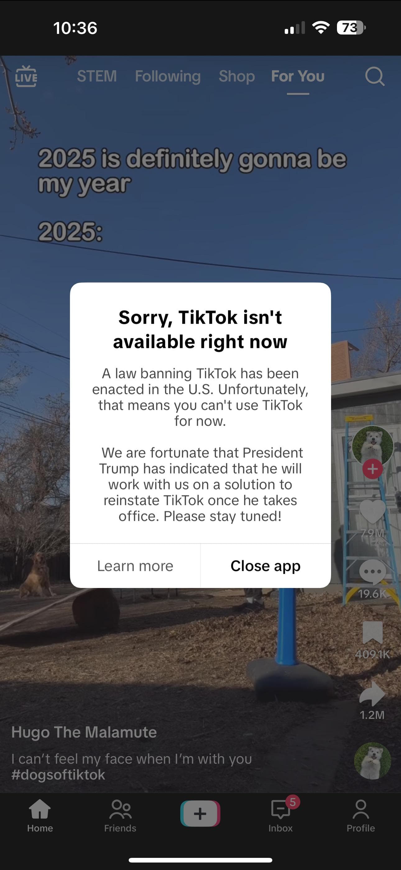 The last TikTok that showed on my feed felt fitting to me.